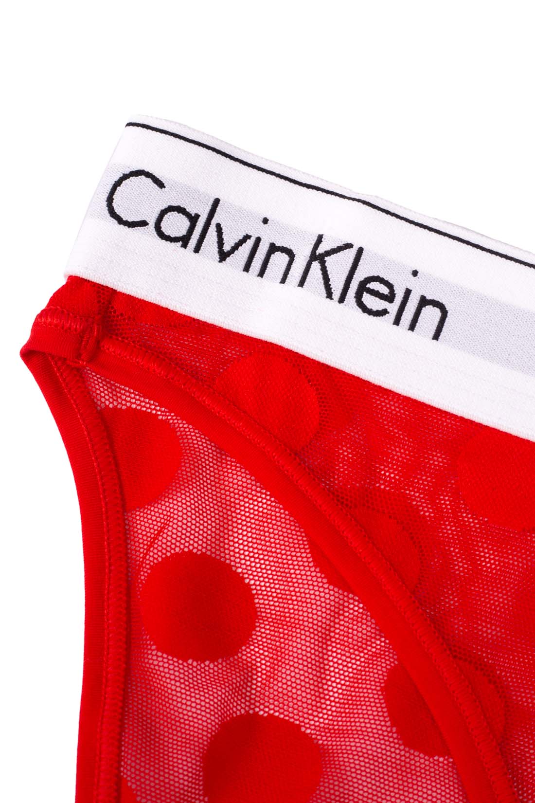 Women's polka dot mesh brief with semi-transparent finish and elasticated designer logo waistband — view 12