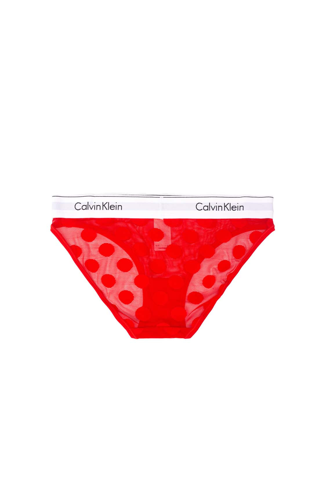 Women's polka dot mesh brief with semi-transparent finish and elasticated designer logo waistband — view 7