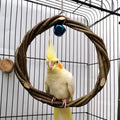 Natural apple branch bird chewing toy rattan braided ring attached to a bird cage wire