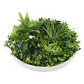 Artificial Green Wall Disc 30in – White Frame – UV Resistant – Commercial Grade-0