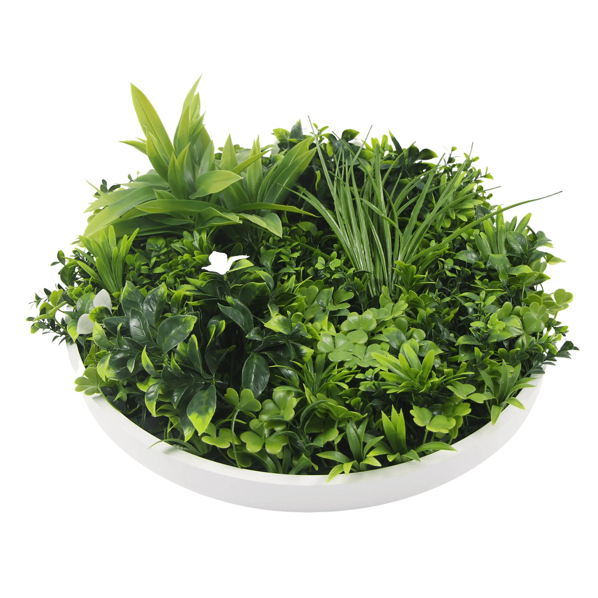 Artificial Green Wall Disc 30in – White Frame – UV Resistant – Commercial Grade-0