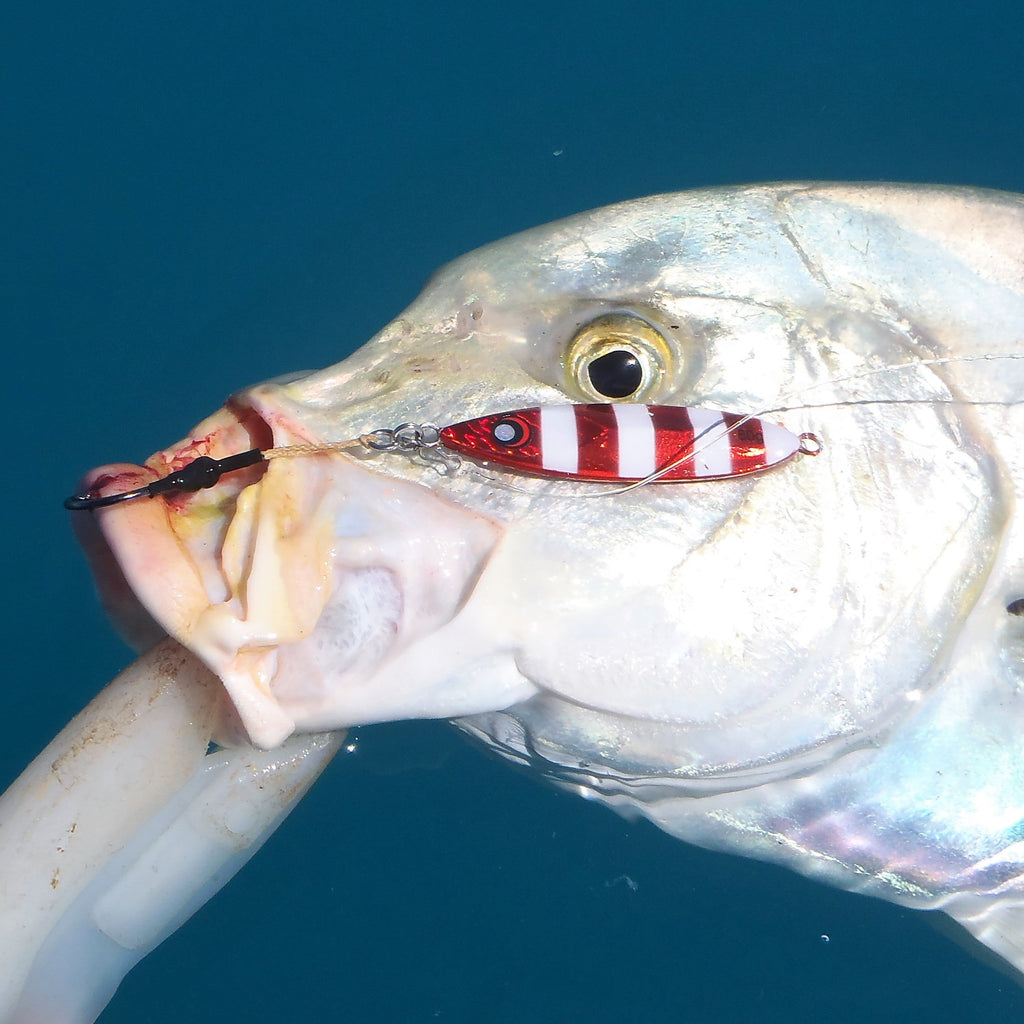 The Reef Jigger Gift Pack featuring assorted offshore lures, heavy duty hooks, and rigging accessories — view 3