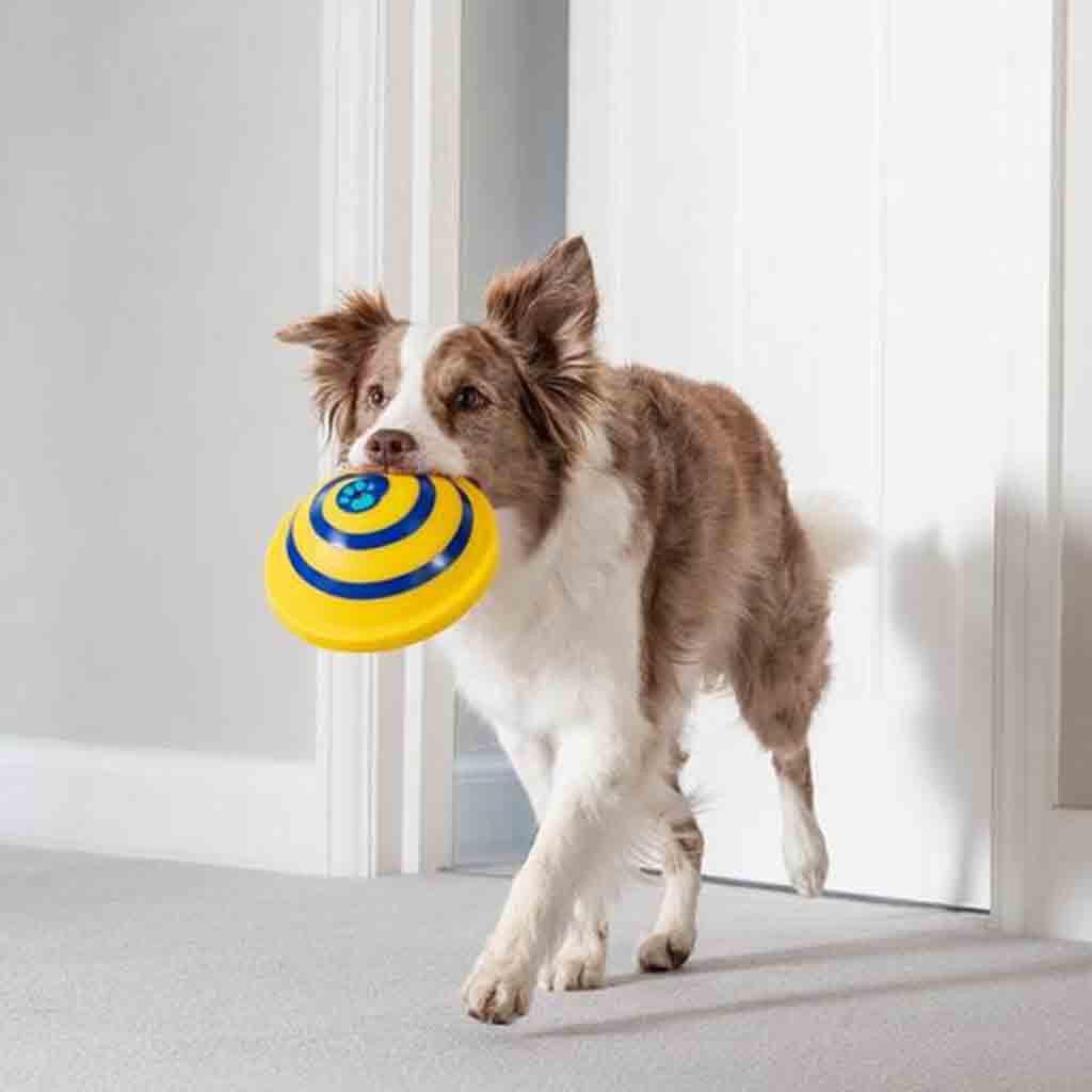 Wooftunes interactive disc-shaped silicone sound dog toy with durable rubber bumpers for active indoor play