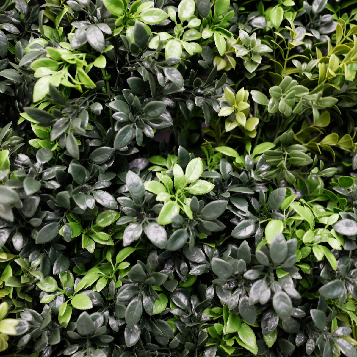 Mixed Green Ultra Dense Boxwood Artificial Vertical Garden Green Wall Panel 40×40in 11 SQ FT – NFPA 701 Certified – Metal Backed – UV Resistant – Commercial Grade-4