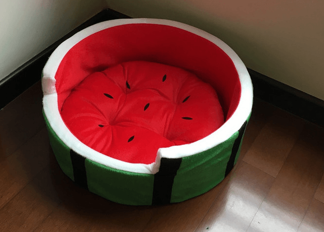 Juicy oasis pet bed in vibrant red and green watermelon design made of plush cotton