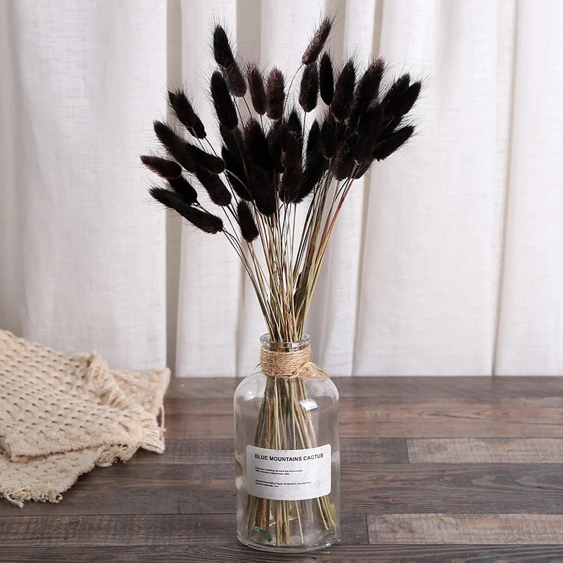 Black Bunny Tails-1
