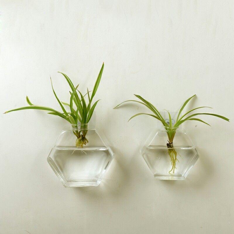 Clear geometric glass hanging fish tank holding water and aquatic plants on a plain background — view 5