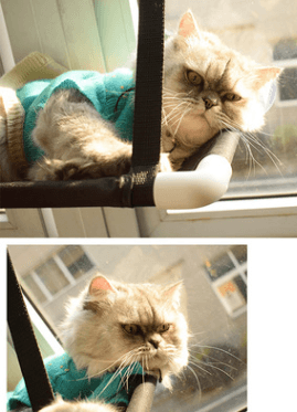 Window sill cat hammock in neutral coral velvet mounted to a glass window with suction cups — view 4