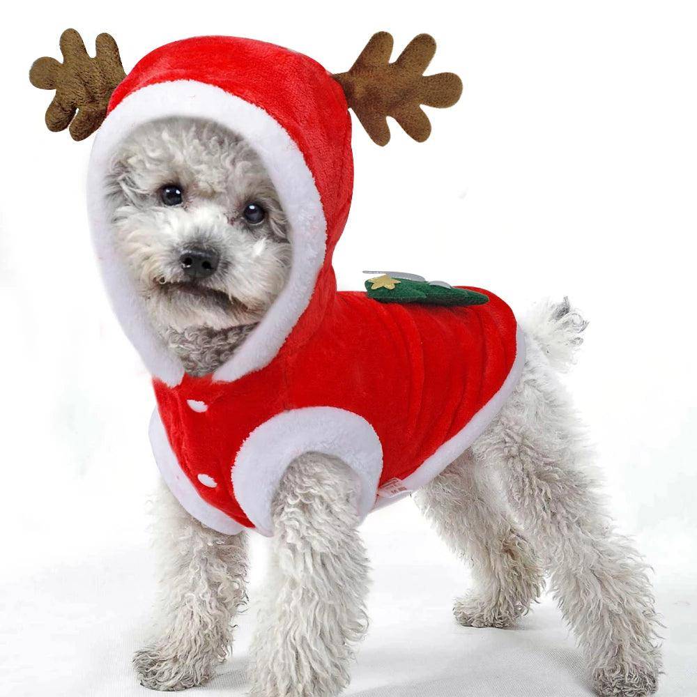 Small dog wearing a festive red and white flannel Santa Claus Christmas costume outfit — view 4