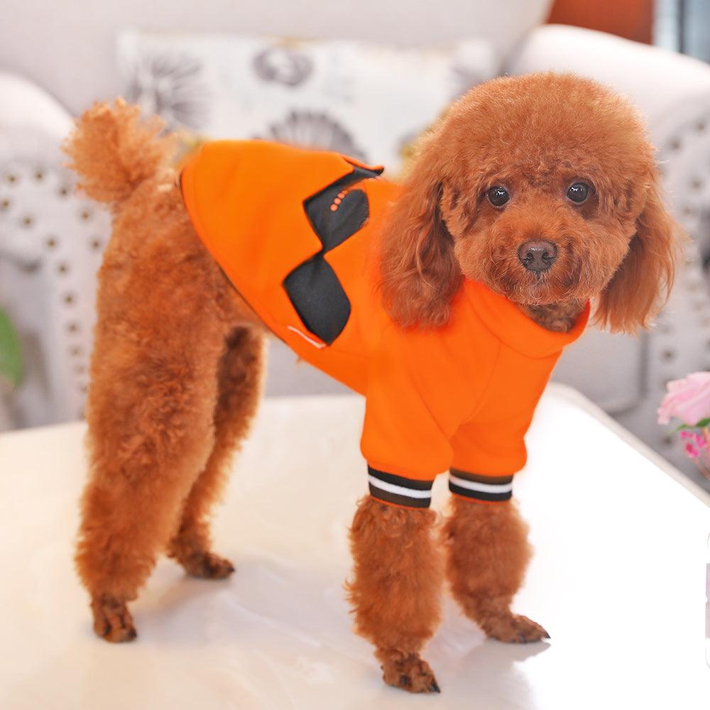 Vibrant orange Halloween pumpkin dog costume casual sweater style for small to large breed pets — view 3