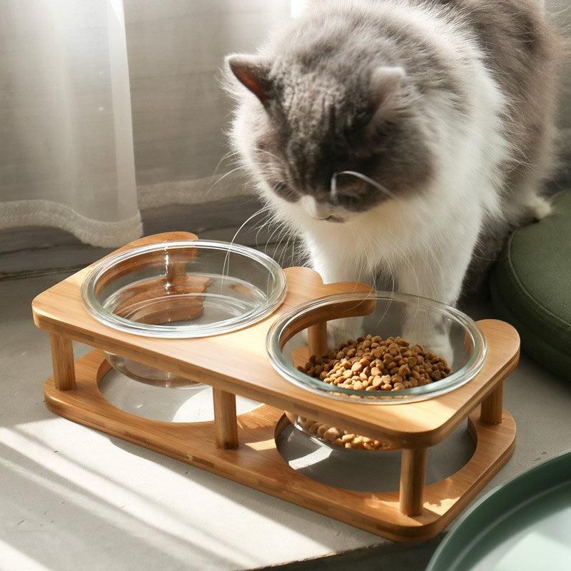 Elegant transparent glass cat bowl set housed in a modern minimalist square frame for daily feeding. — view 2