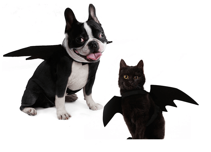 Black felt bat wings dog costume featuring adjustable Velcro straps on a white background — view 2