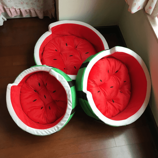Juicy oasis pet bed in vibrant red and green watermelon design made of plush cotton — view 4
