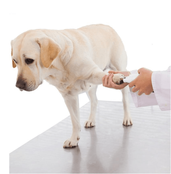 Electric pet nail grinder with a detachable grinding wheel and included power adapters — view 2