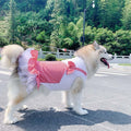 Plaid princess dog costume skirt in red and yellow cotton for large breeds