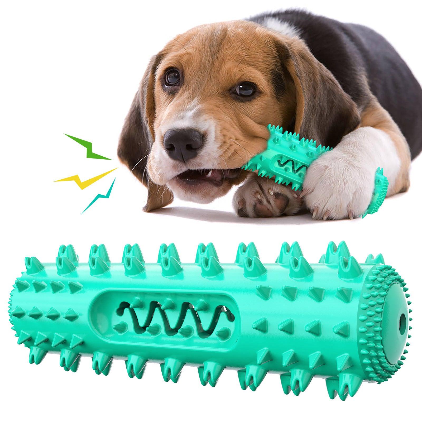 Interactive dog toothbrush and teething toy in vibrant durable TPR material for pet dental care