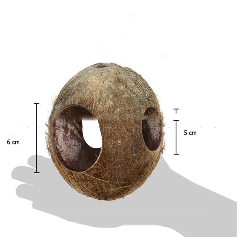 Rustic natural coconut shell bird nest feeder hanging from a garden branch outdoors — view 5