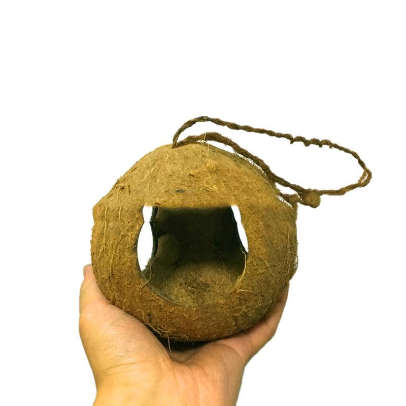 Rustic natural coconut shell bird nest feeder hanging from a garden branch outdoors