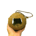 Rustic natural coconut shell bird nest feeder hanging from a garden branch outdoors