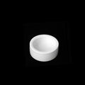 Ceramic reptile food bowl with smooth inner walls and escape-proof terrarium design