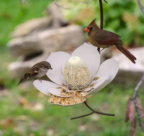 Petal Haven metal wire bird feeder in vibrant red or blue with feeding tray. — view 5