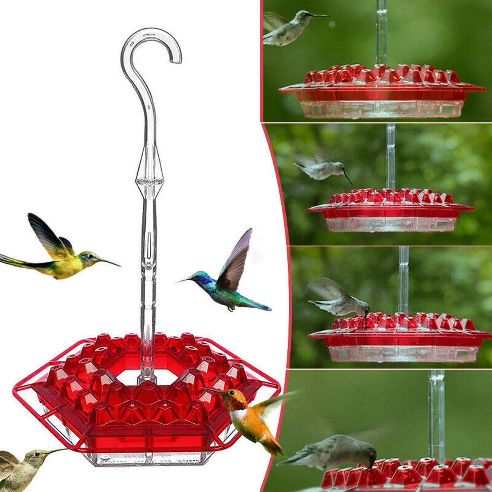 Vibrant flower and hexagonal hanging bird feeder for outdoor garden decoration and bird watching