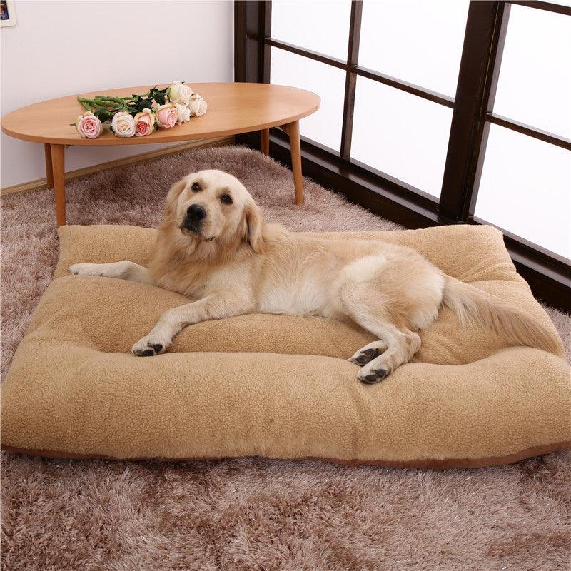 Luxury large dog bed in plush suede and cashmere featuring a thick comfortable sleeping cushion