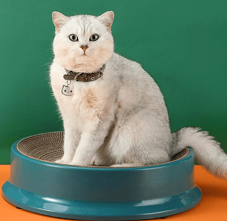 Modern round plastic cat scratcher nest with corrugated paper core in vibrant orange green or white