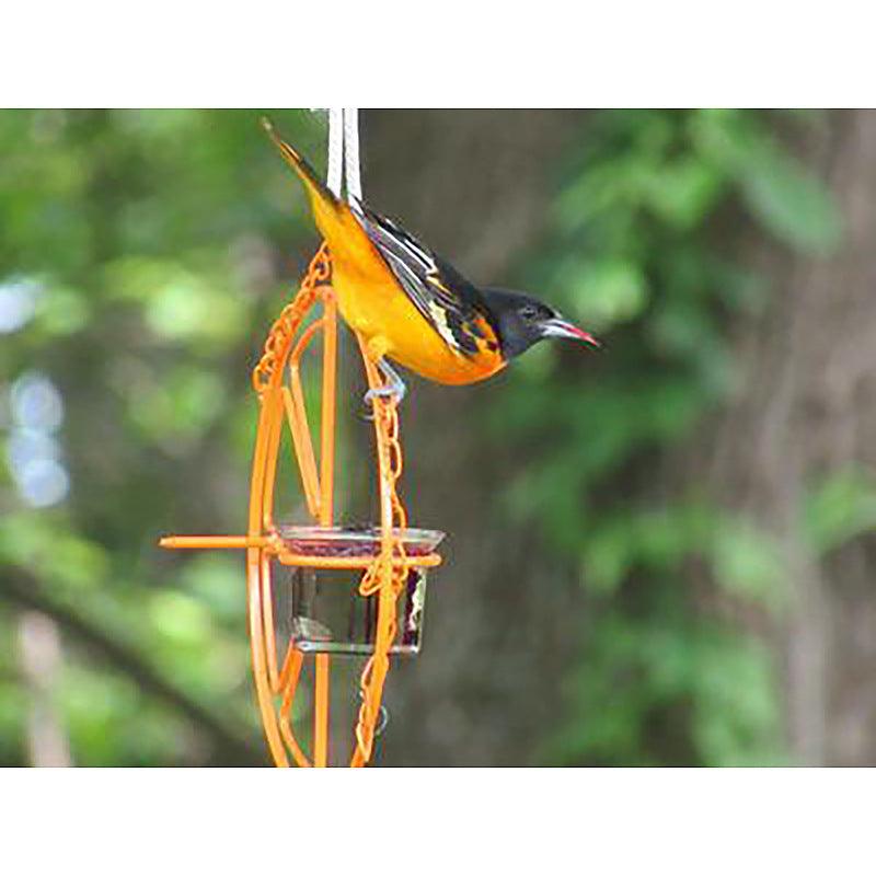 Bright metallic bird feeder with open design and hanging hook for outdoor garden spaces — view 3