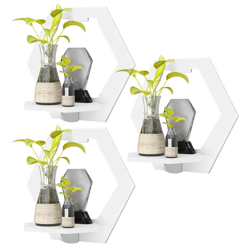 Set of 3 glossy white hexagonal floating wall shelves displaying small plants and picture frames