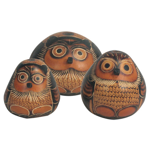 Gourd Owls Sitting Hand-Carved by Artisans from Peru-2