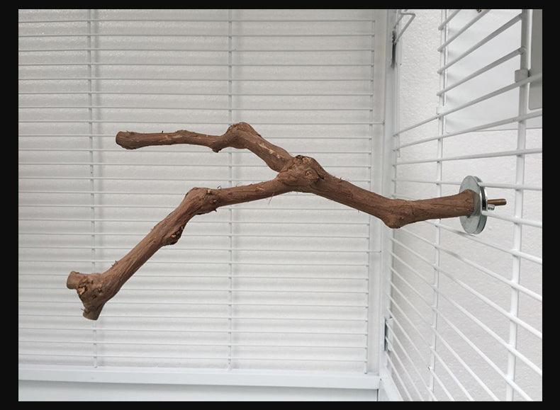 Natural vine parrot perch made of authentic grape wood installed inside a wire bird cage — view 2