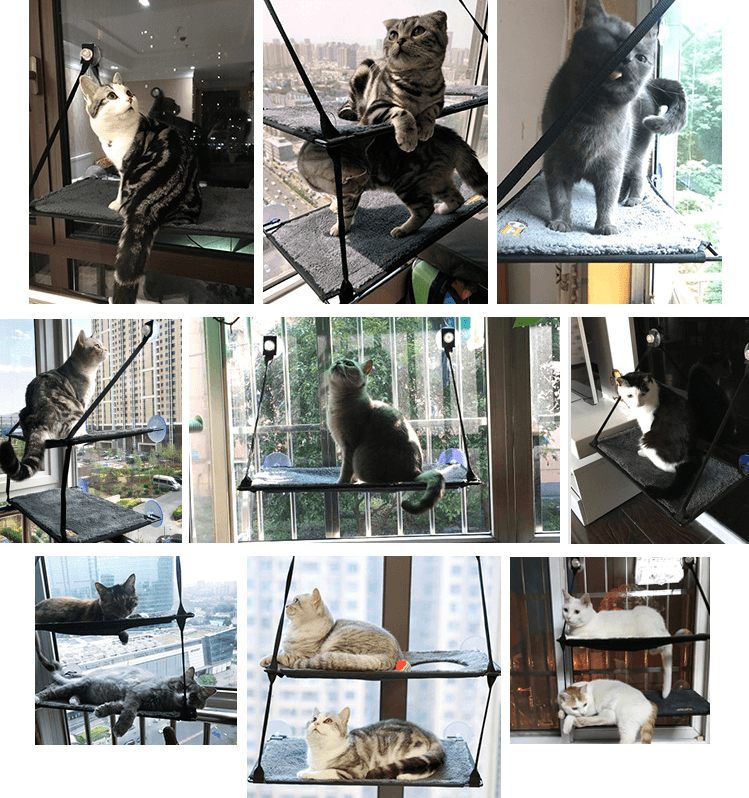 Luxury window cat hammock bed with strong suction cups, washable fabric, and sturdy metal frame — view 3