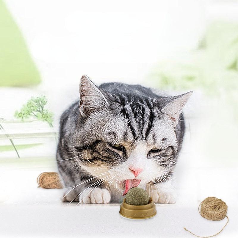 Minty fresh catnip dental treat ball rotating molar teeth cleaning toy for cats — view 3