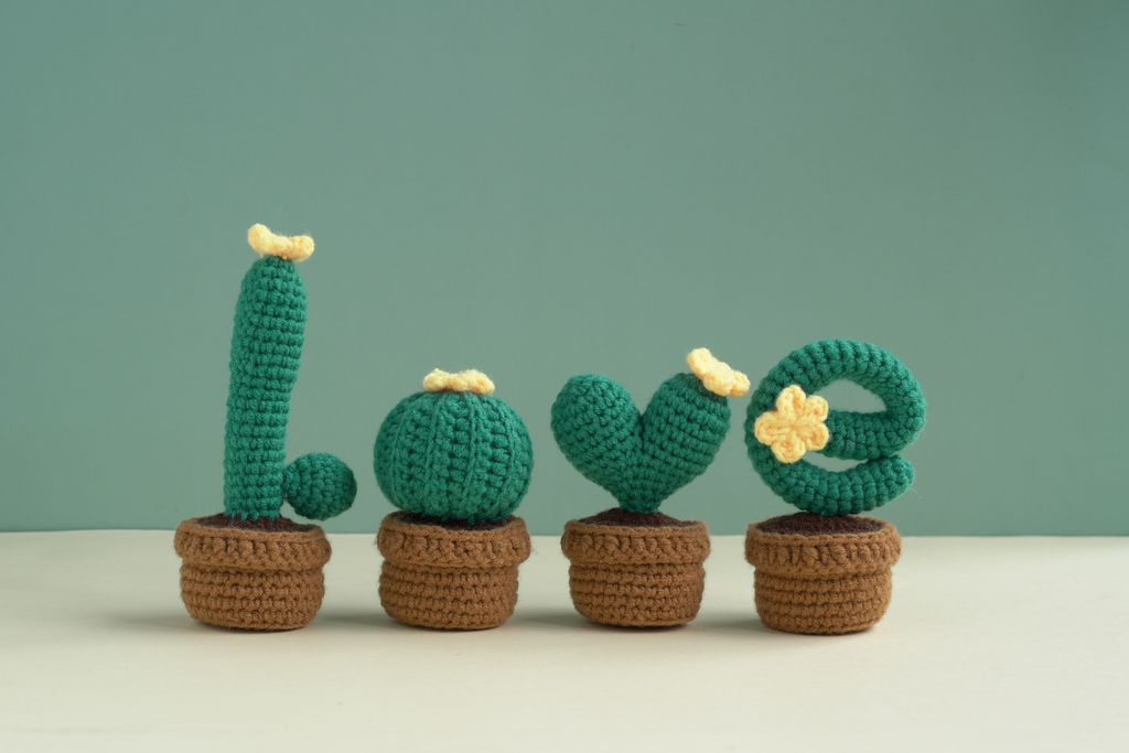 Completed floral cactus amigurumi crochet craft kit with hook, yarn, and crafting materials