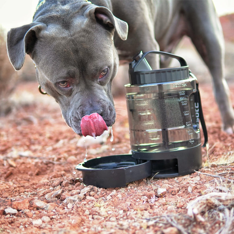 Large dog travel water bowl dispenser with carrying strap and capacity markers for outdoor hiking