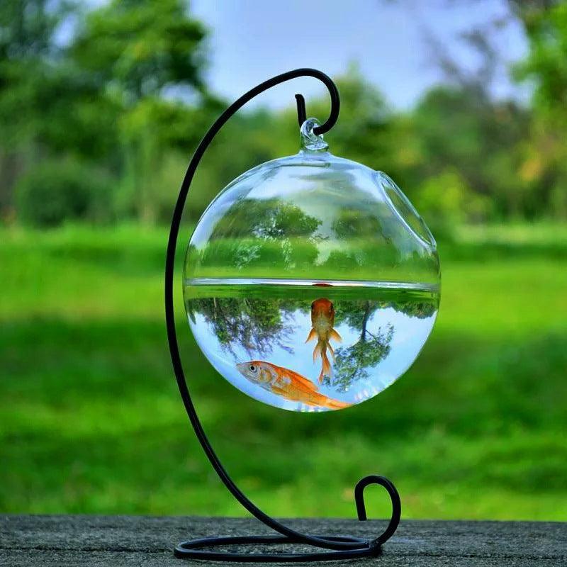 Mini hanging fish tank in clear borosilicate glass suspended from an elegant curved metal bracket — view 3