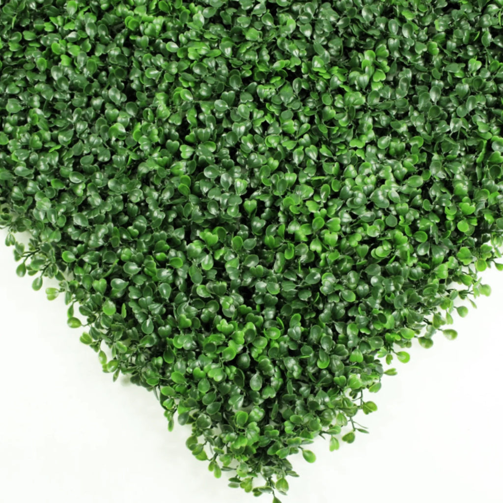Dark Boxwood Artificial Vertical Garden Green Wall Panel 40×40in 11 SQ FT – UV Resistant – Commercial Grade-2