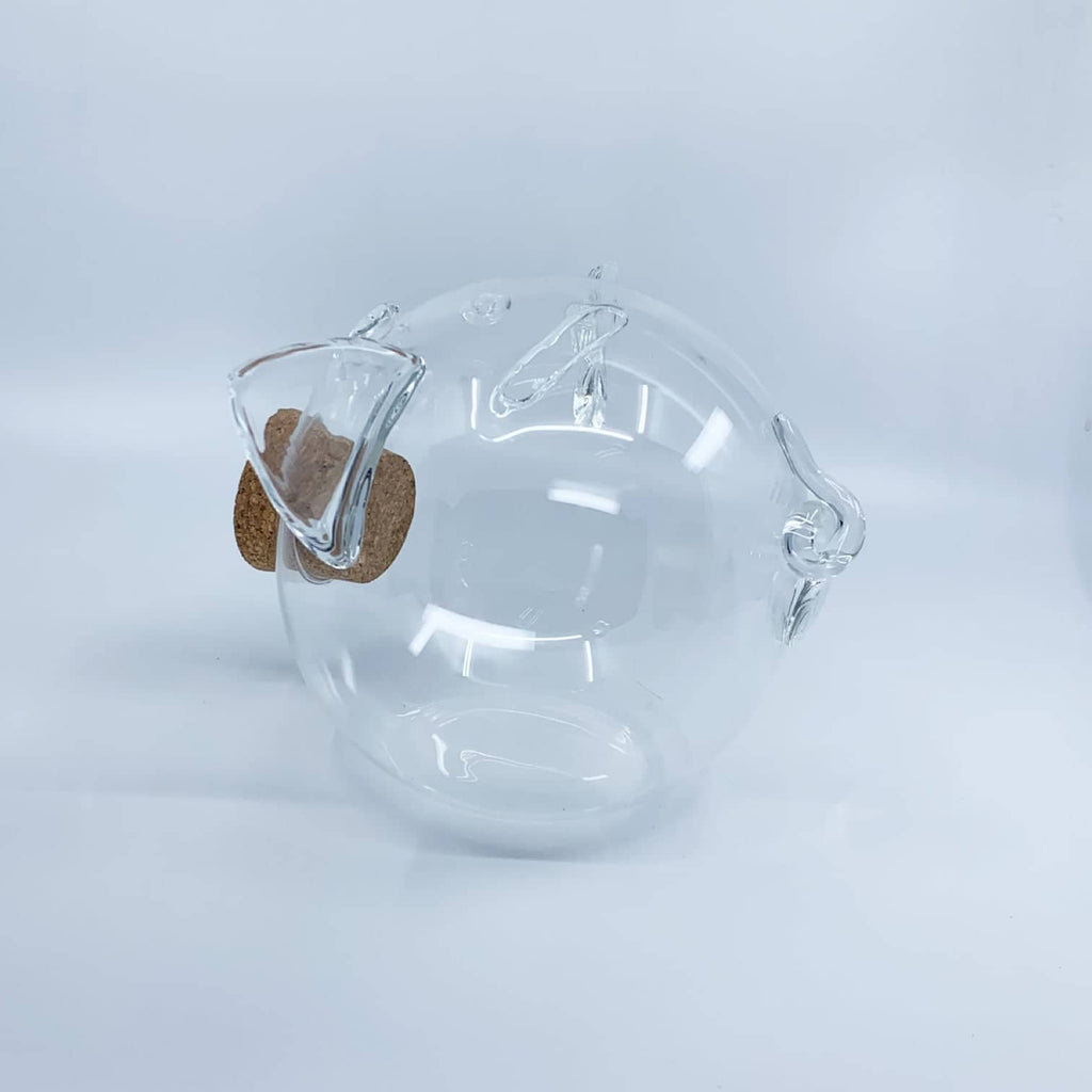 Glass Piggy Bank GLASS Collection-4
