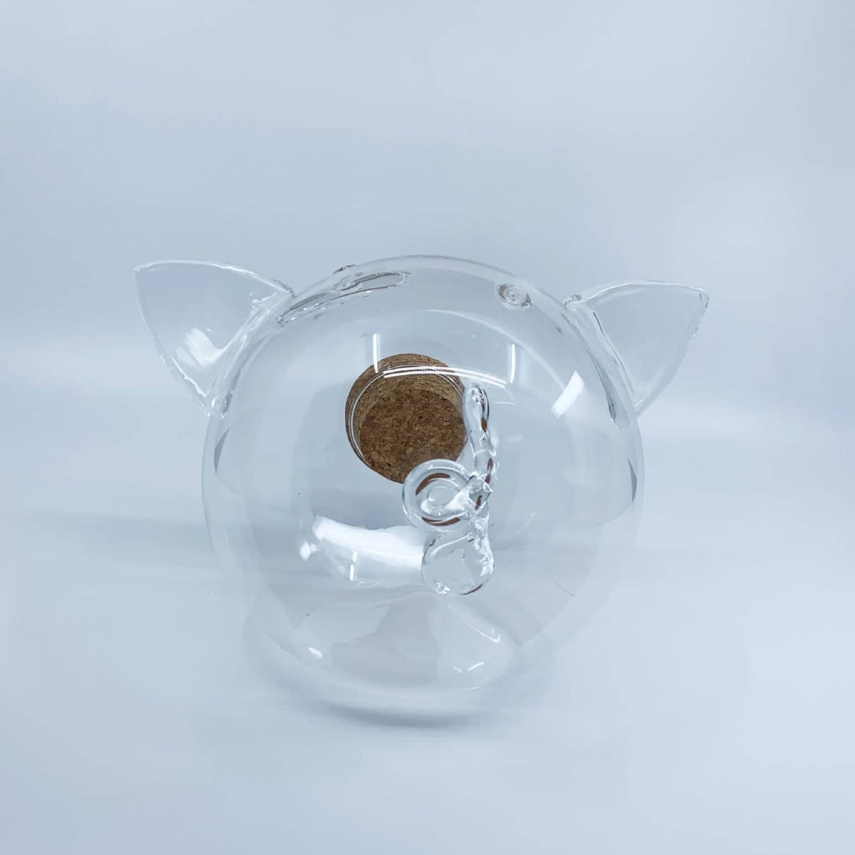 Glass Piggy Bank GLASS Collection-2