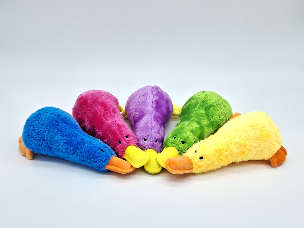 Platz the Platypus soft plush squeaky pet toy, a cuddly stuffed animal for dogs and cats