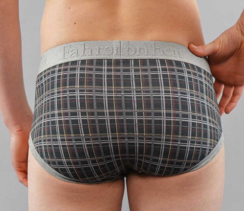 Men's green plaid Wayne brief underwear made of breathable cotton with comfortable logo waistband. — view 5