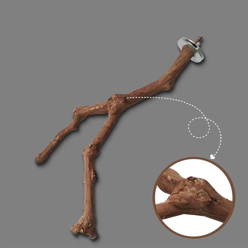 Natural vine parrot perch made of authentic grape wood installed inside a wire bird cage — view 4