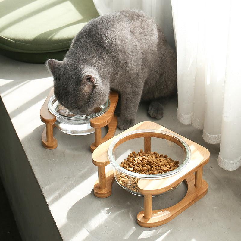 Elegant transparent glass cat bowl set housed in a modern minimalist square frame for daily feeding.