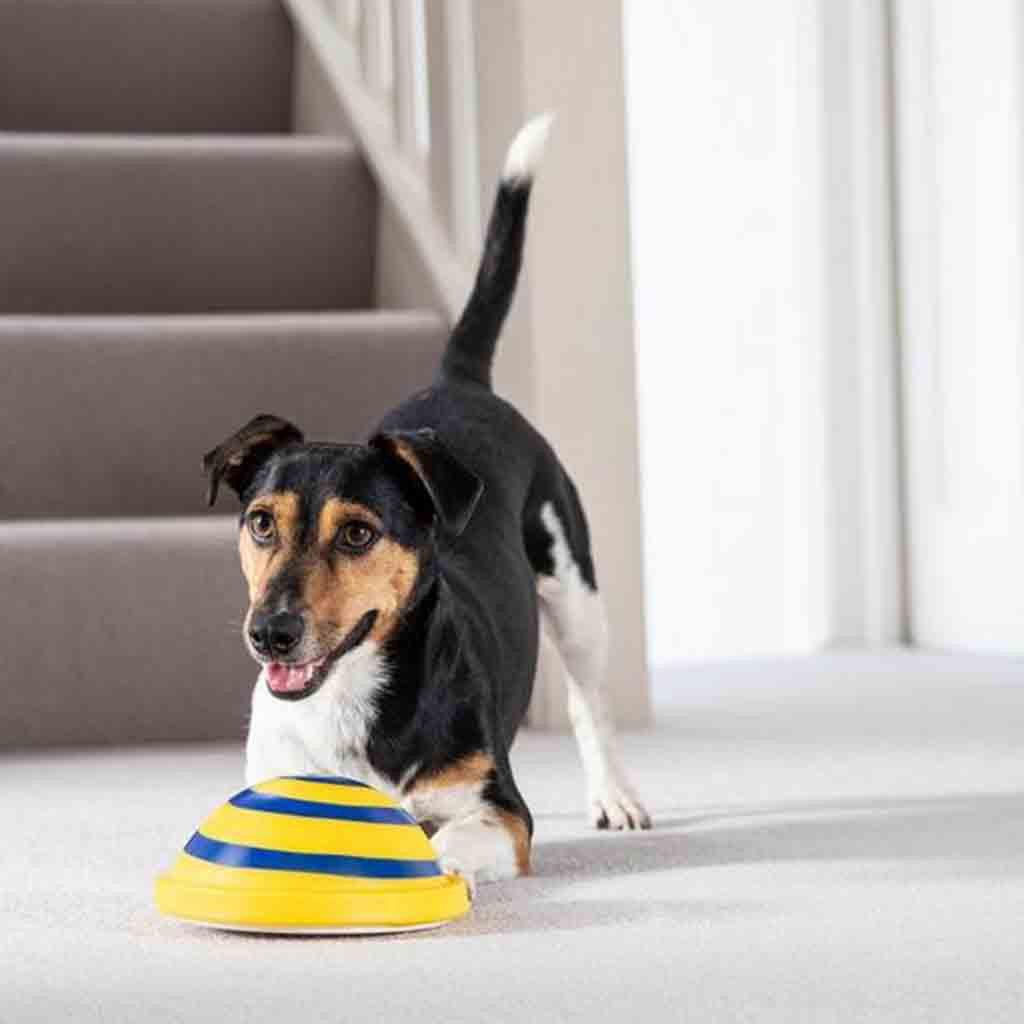 Wooftunes interactive disc-shaped silicone sound dog toy with durable rubber bumpers for active indoor play — view 2