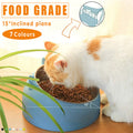 Raised stainless steel pet bowl with a 15-degree tilted colorful plastic base for easy feeding.