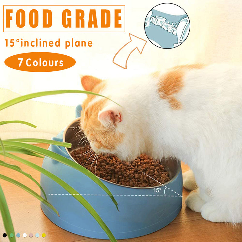 Raised stainless steel pet bowl with a 15-degree tilted colorful plastic base for easy feeding.