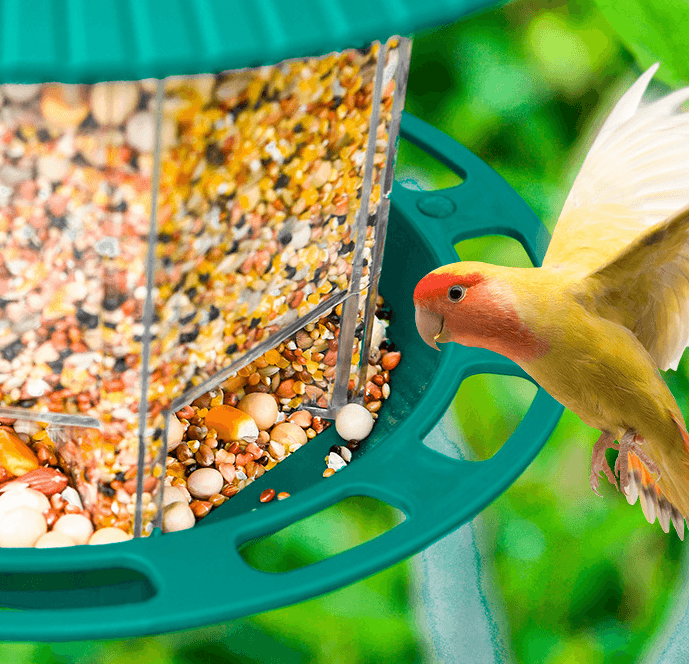 Transparent green plastic hanging bird feeder with automatic seed dispenser for outdoor garden spaces — view 3