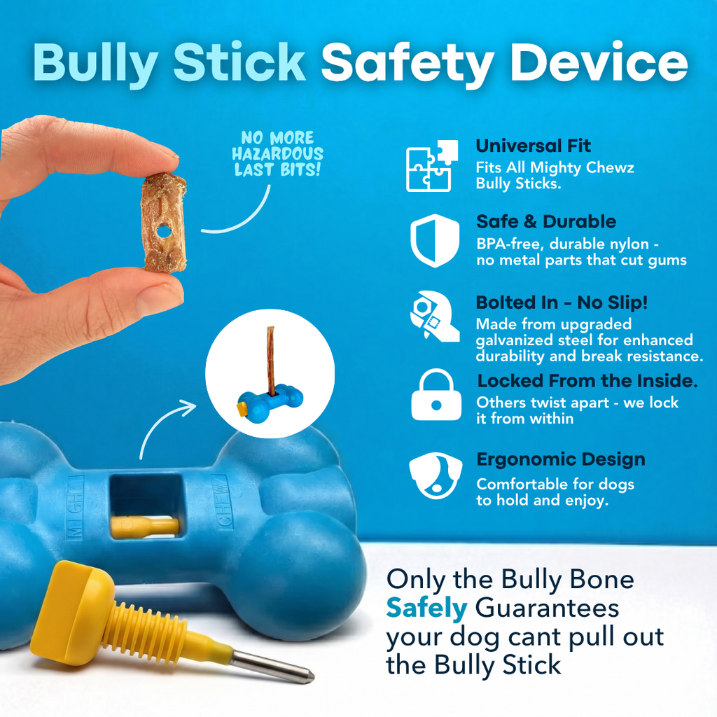 7" Standard Bully Sticks - Bully Bone Included-2