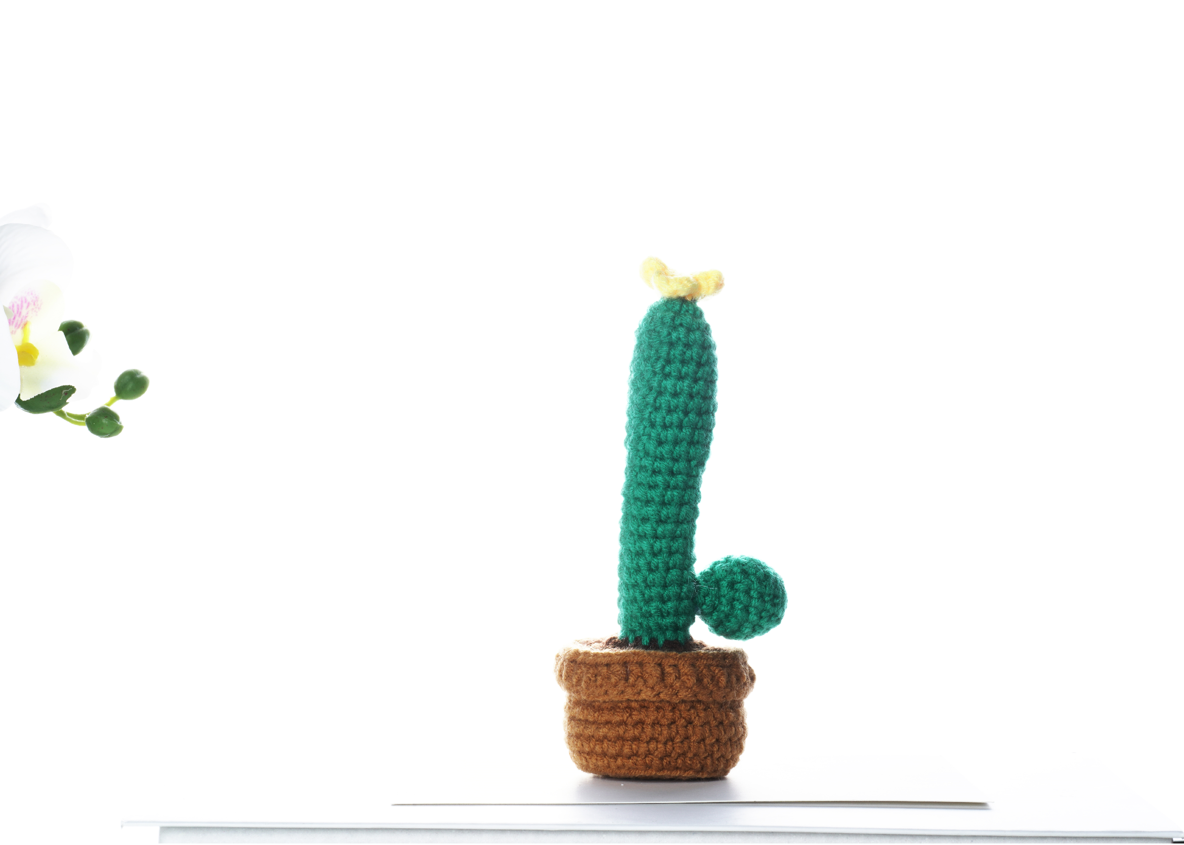 Completed floral cactus amigurumi crochet craft kit with hook, yarn, and crafting materials — view 2